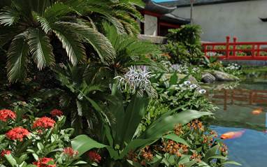 image003.jpg