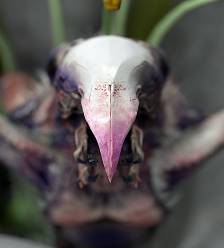 image008.png